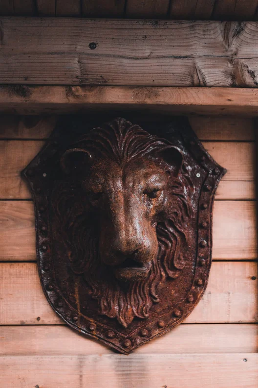 Protection and security